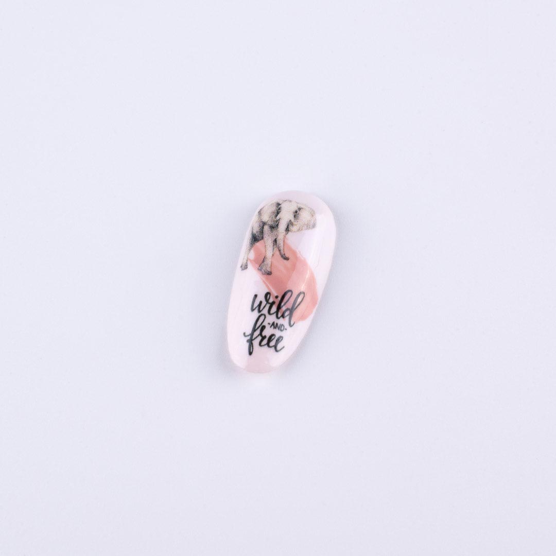 Slon na nechtoch - safari design