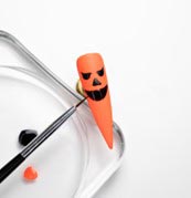 Halloweenská tekvica na nechte - krok 2