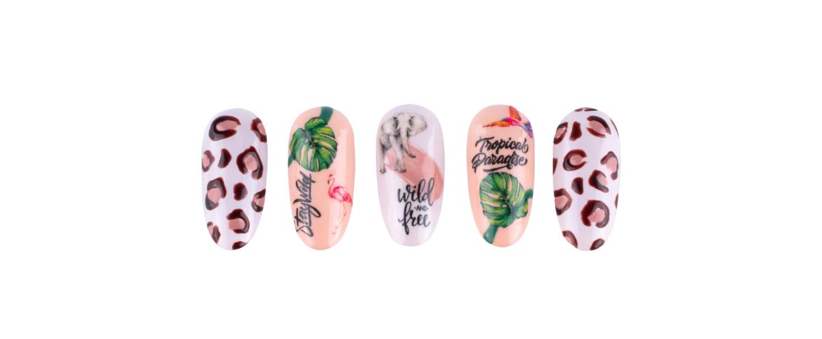 Safari kolekcia STARNAILS - kompletná ponuka pre safari design