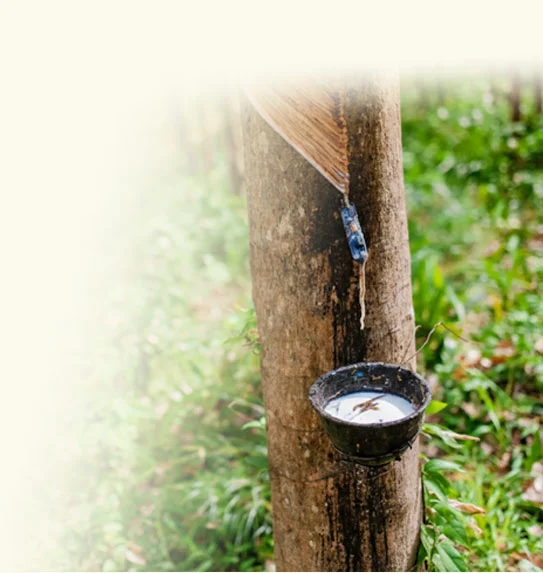 Spojenie kaučuku a fiber vlákien