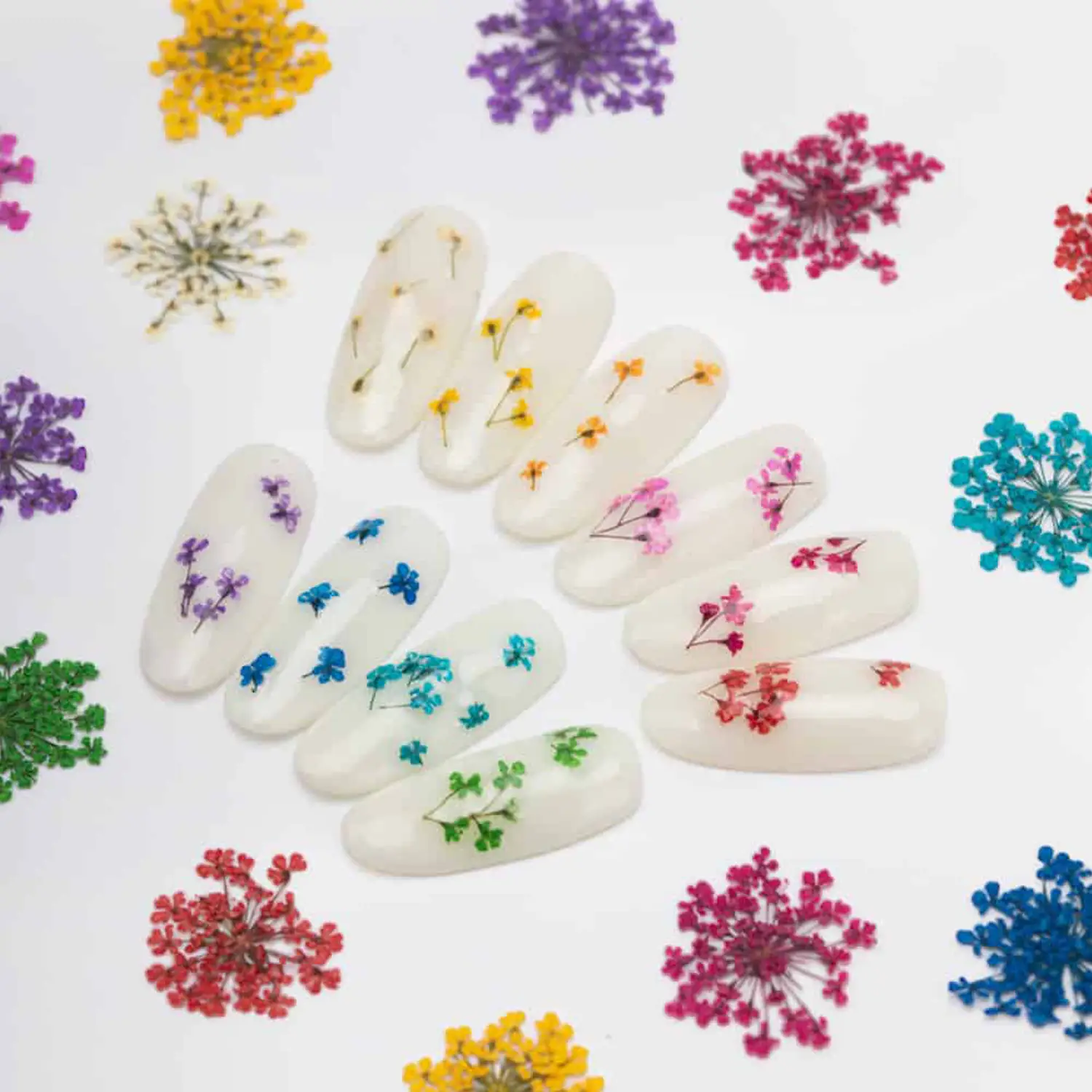 Balenie su&scaron;en&yacute;ch kvetov na nechty Pink &ndash; 5 ks