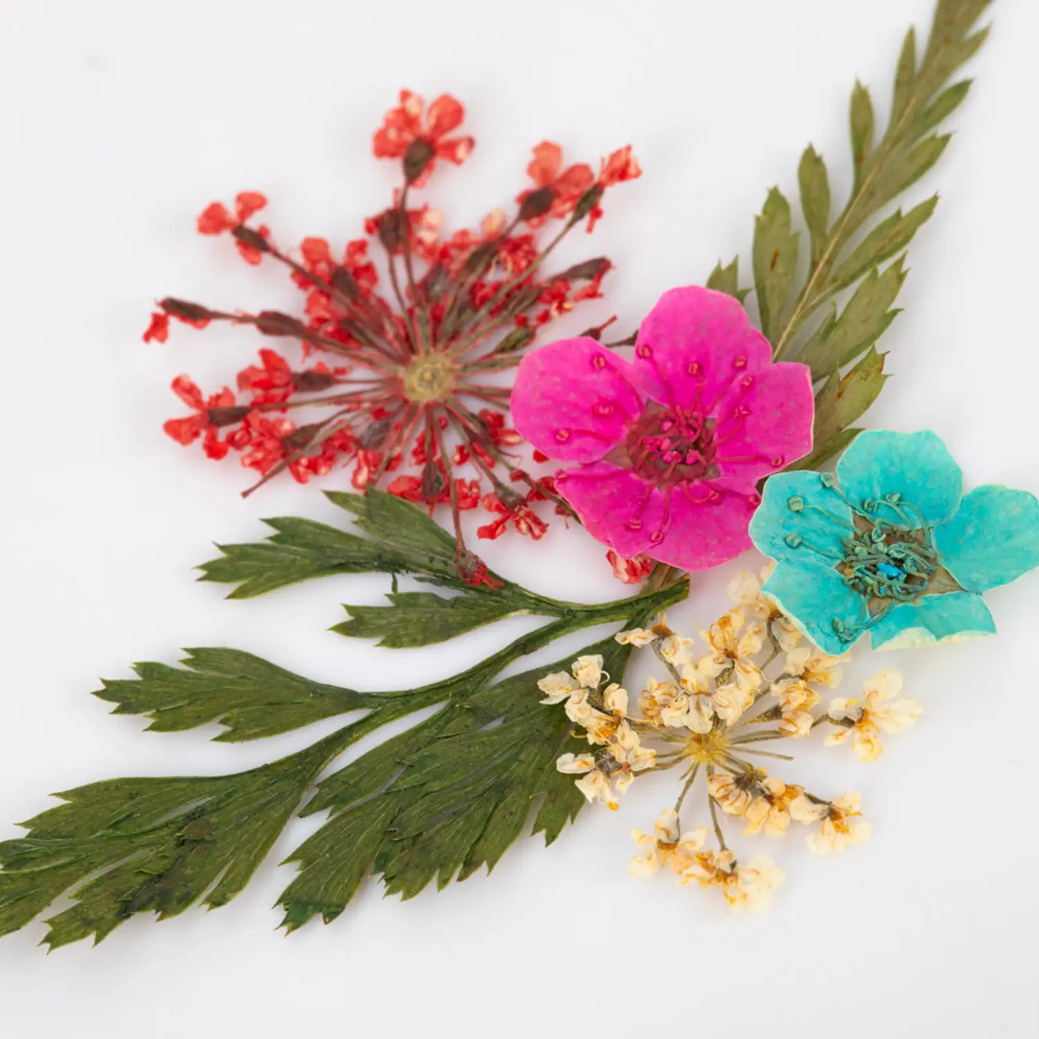 Balenie sady su&scaron;en&yacute;ch kvetov na nechty &ndash; mix farieb, 12 boxov