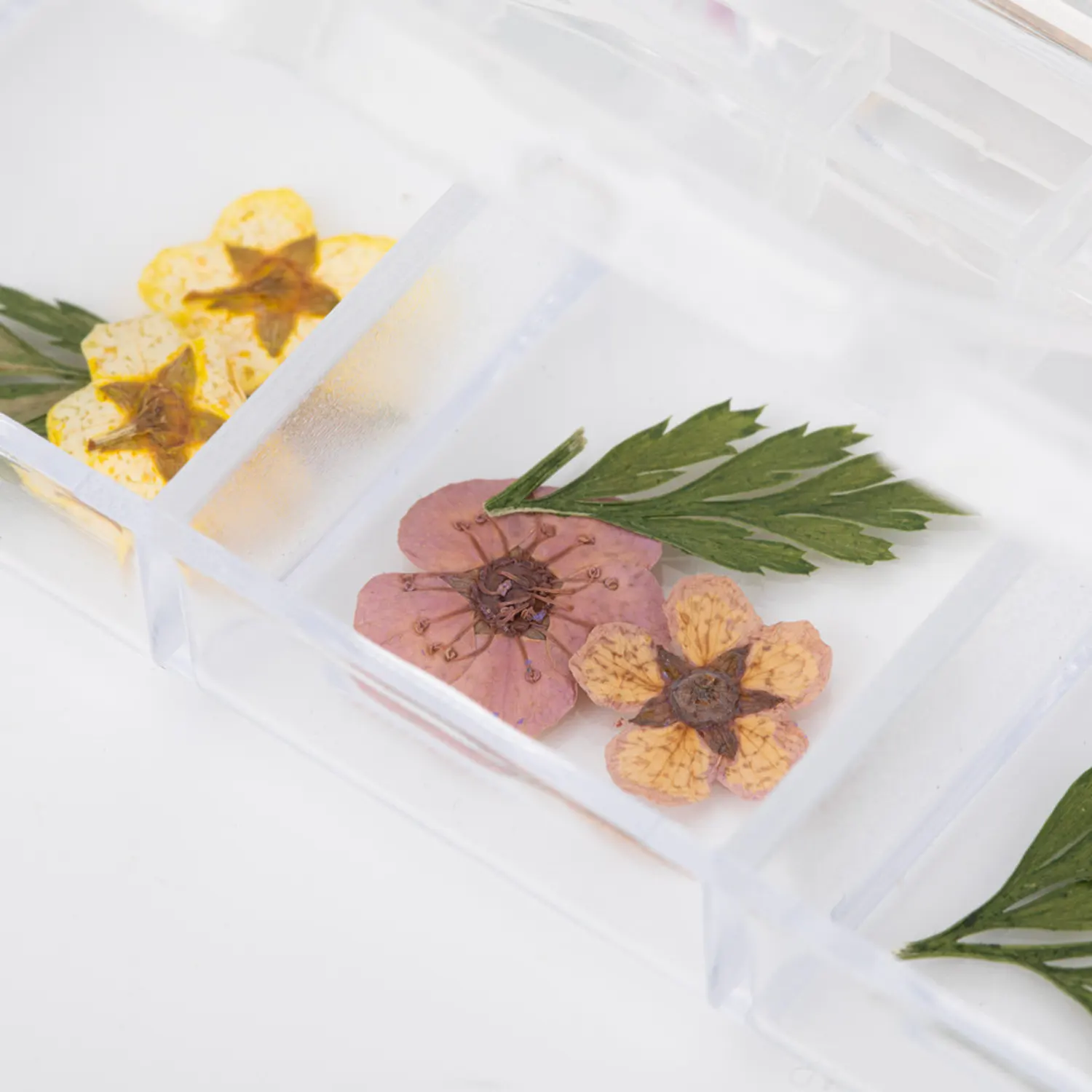 Ako aplikovať su&scaron;en&eacute; kvety na nechty &ndash; mix farieb